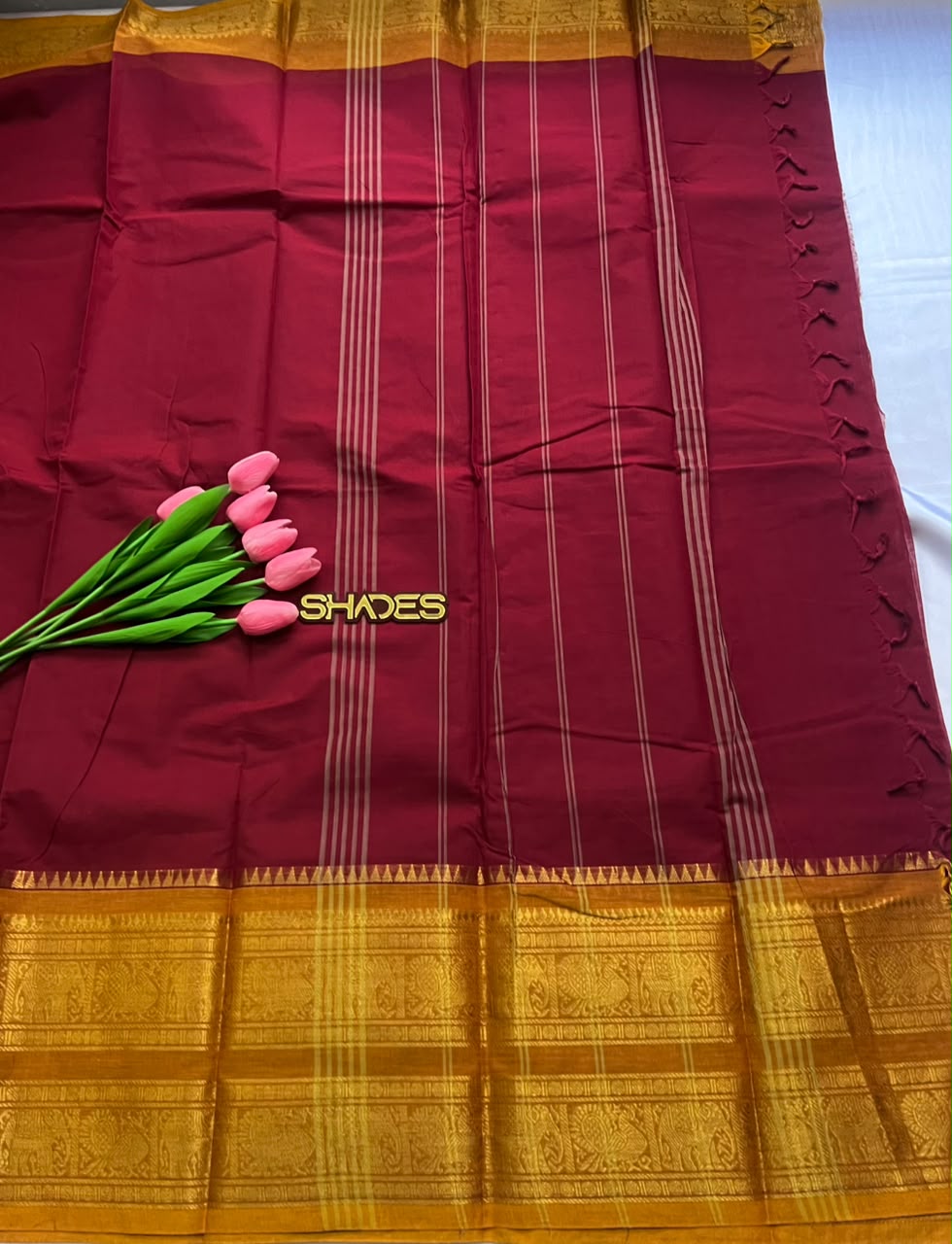 Sandhra - Kanchi Cotton Saree