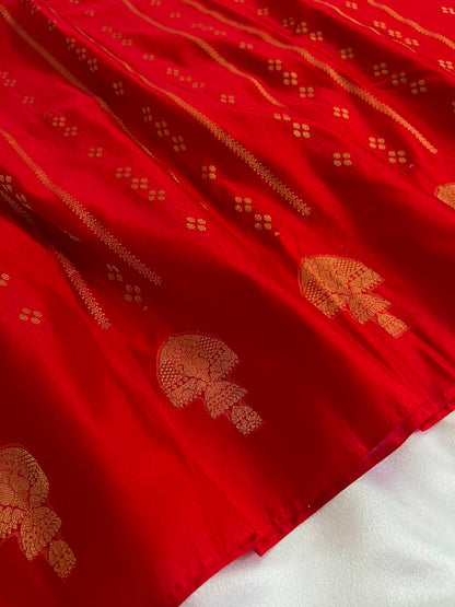1002 - Premium Bridal Saree