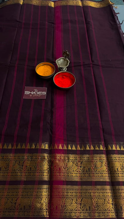 Vaidehi - Kanchi Cotton Saree