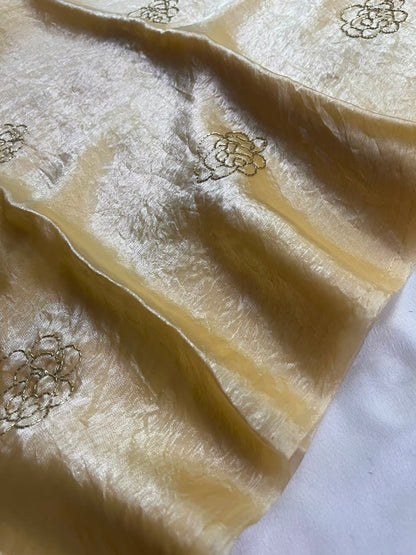 Nila - Pure Organza Saree