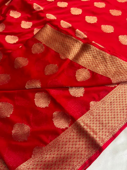 Devika - Banarasi Georgette Saree