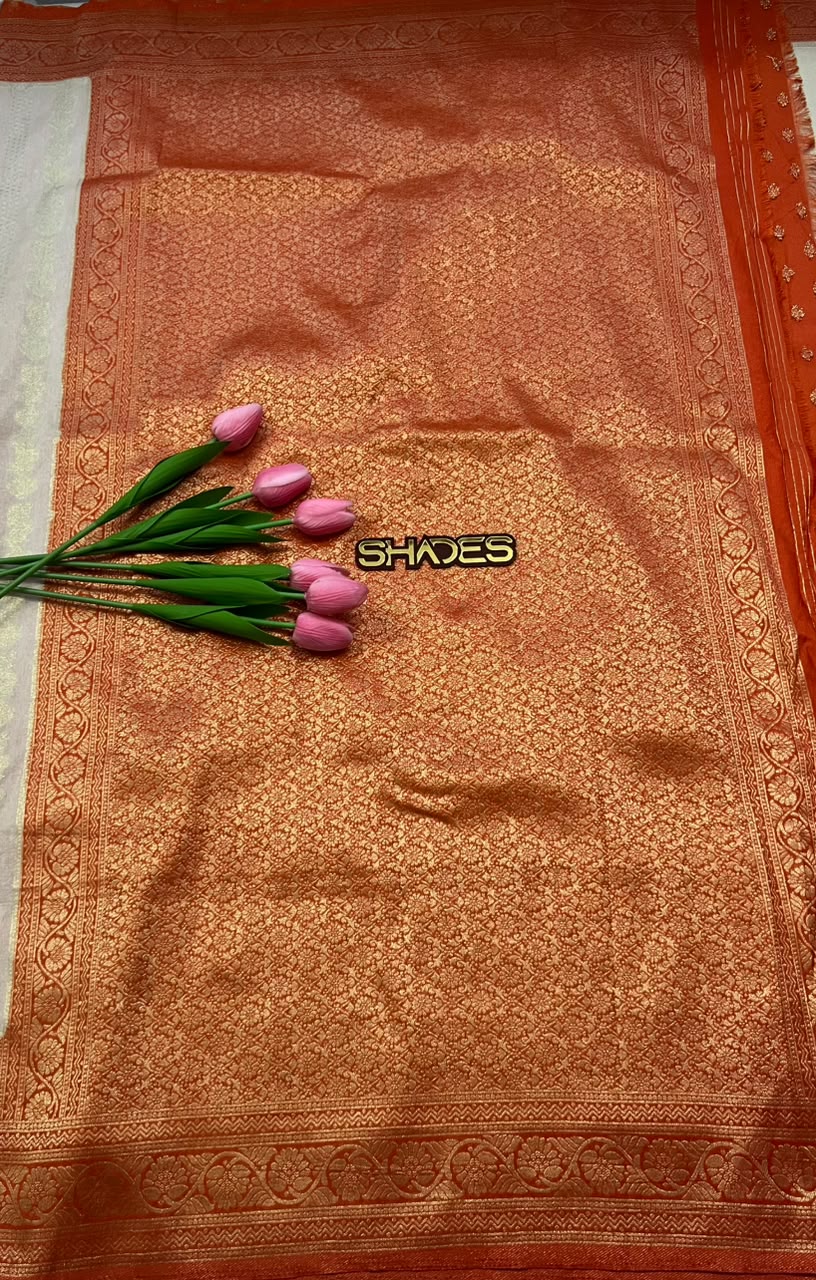 Padmini - Banarasi Georgette Saree
