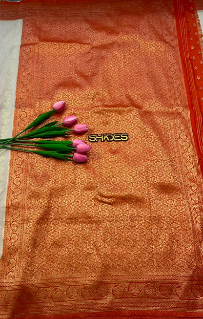 Padmini - Banarasi Georgette Saree