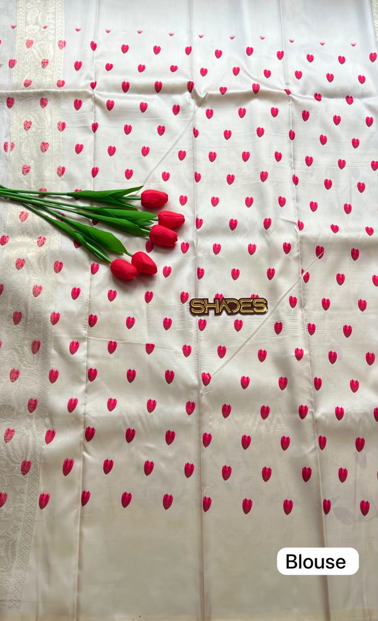AIRA - Brocade Silk Saree