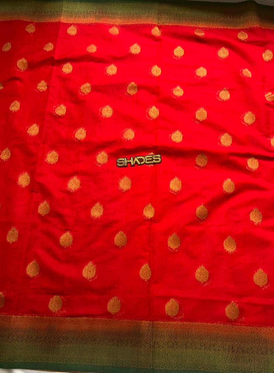 SANARA - Banarasi Georgette Saree