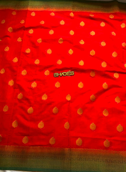 SANARA - Banarasi Georgette Saree