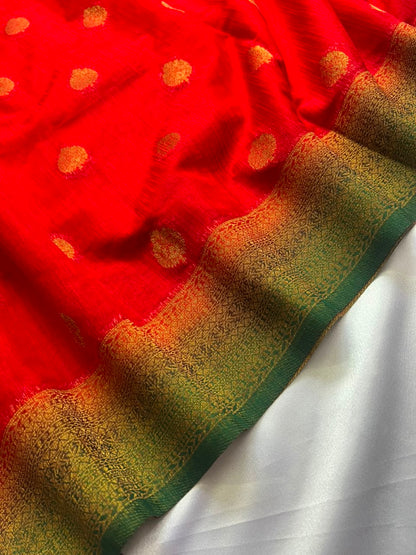 SANARA - Banarasi Georgette Saree