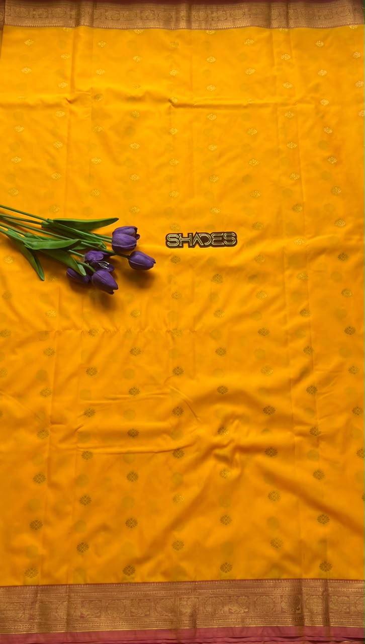 GANGA - SoftSilk Saree