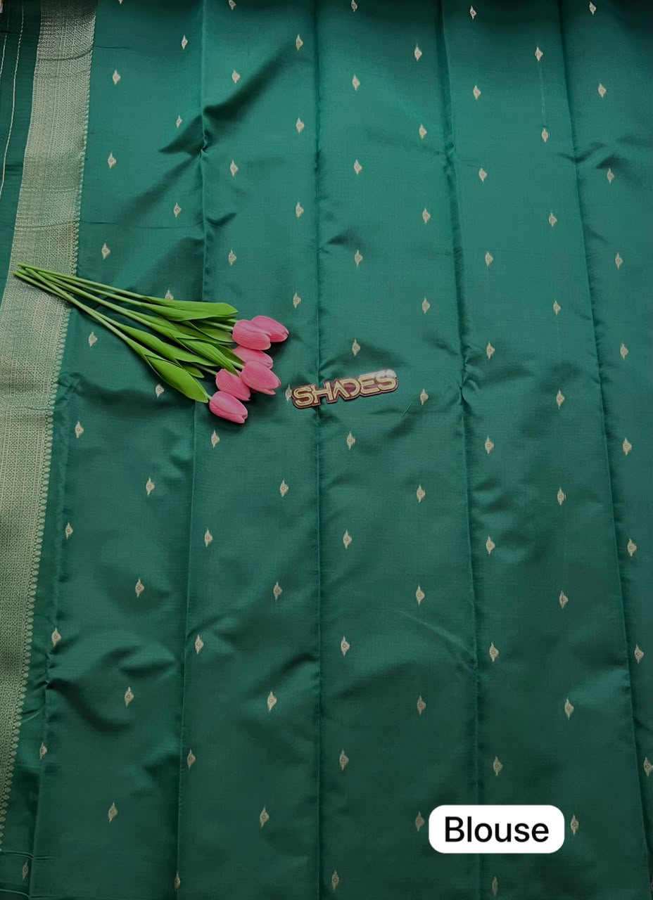 PUNYA - Soft Silk Saree