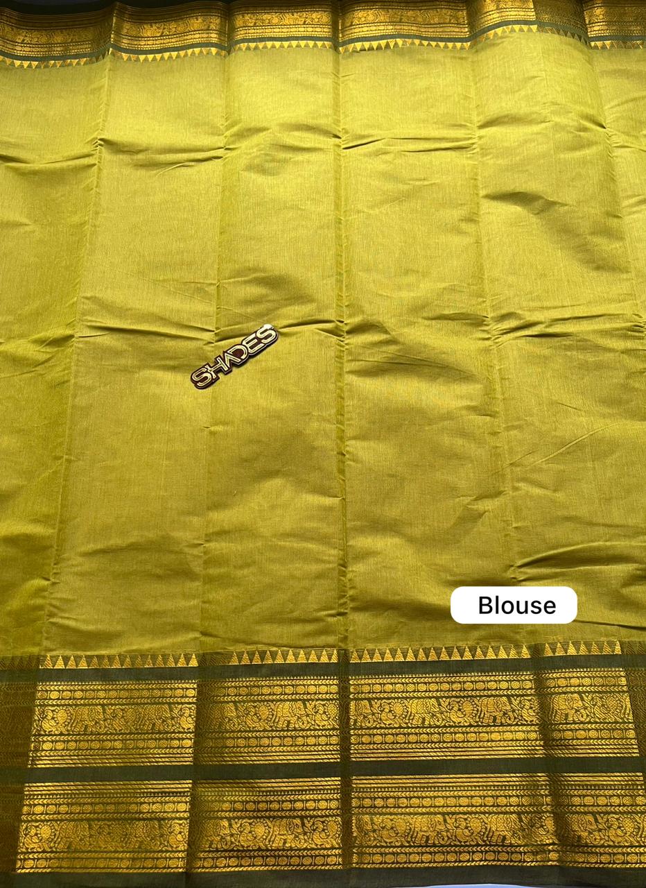 AKHILA - Kanchi Cotton Saree