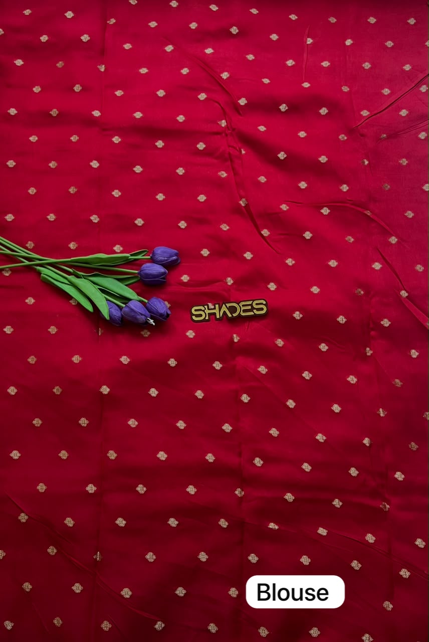 SHIVANI - Soft Silk Saree